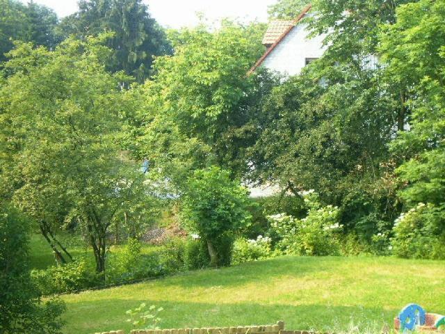 Waldpension Zum Felsenkeller Lichtenfels-Sachsenberg エクステリア 写真