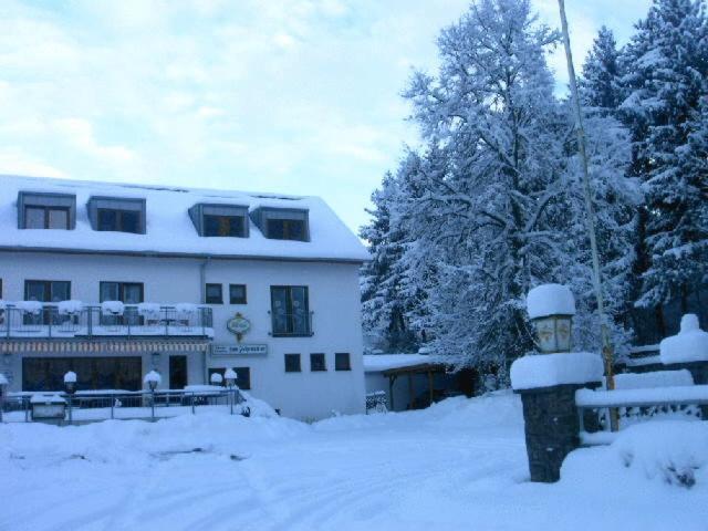 Waldpension Zum Felsenkeller Lichtenfels-Sachsenberg エクステリア 写真