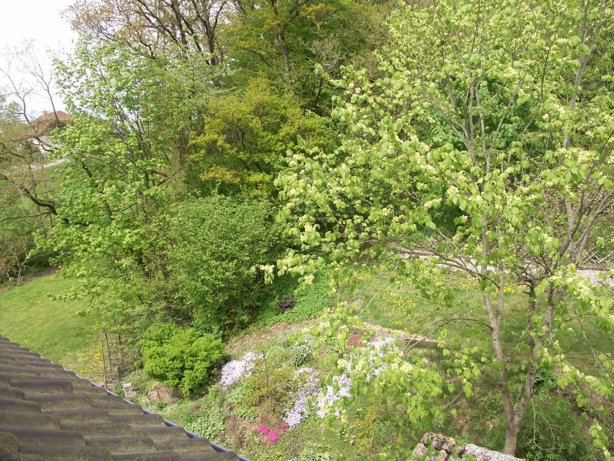 Waldpension Zum Felsenkeller Lichtenfels-Sachsenberg エクステリア 写真